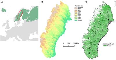 Strengthening the Network of High Conservation Value Forests in Boreal Landscapes